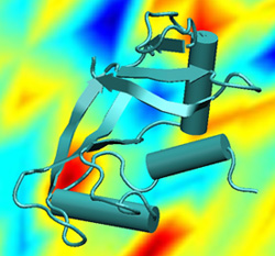 Preservatives like sugar surround and protect complex molecules (foreground), but varying degrees of movement within the preservativesymbolized by the different colors in the backgroundare a major contributor to spoilage. Recent NIST findings concerning the fundamental behavior of mixtures (such as the combination above) could dramatically extend the shelf lives of vaccines and other biological materials.

Credit: NIST