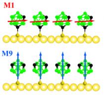 Schematic showing relative dipole orientations for the carboranethiol isomers, M1 and M9. The M1 molecule's dipole is oriented nearly parallel to the surface of the SAM, while the M9 molecule's dipole is oriented perpendicular to the surface of the SAM. The arrows point in the direction of positive charge.