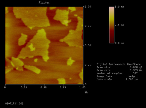 Single Layer Graphene Oxide