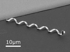 Artificial bacterial flagella are about half as long as the thickness of a human hair. They can swim at a speed of up to one body length per second. This means that they already resemble their natural role models very closely. (Image: Institute of Robotics and Intelligent Systems/ETH Zurich)