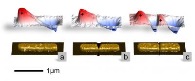 The bottom line depicts the topography, whereas the upper line plots the scanned near-field images. Figure a shows a metal nanorod that can be considered the most simple dipole antenna. The near-field image clearly shows the dipolar oscillation mode with positive fields in red and negative fields in blue color. By introducing a narrow gap at the center of the nanorod thus altering the "antenna load" (Figure c), two dipolar-like modes are obtained. When the gap is connected with a small metal bridge (Figure b), the dipole oscillation mode of Figure a can be restored as the near-field image clearly reveals.

Credit: Martin Schnell/CIC nanoGUNE