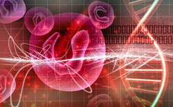 Europeans are taking research to a new level
 Shutterstock