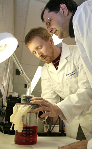 Grad student Geoffrey Thomas and Martin Mintchev, director of the Low Frequency Instrumentation Lab, work on the prototype of the Electronic Mosquito.
/ Photos: Ken Bendiktsen