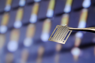 Photo: Gary Meek
Image shows an array of microneedles against a microscope image.