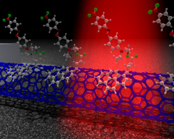 This diagram depicts a representation of chromophores attaching to a transistor made from a single carbon nanotube.
