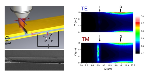 Figure: Top left:  schematic overview of the device, showing focused illumination of a slit in the waveguide using polarized light. This results in plasmon excitation of the waveguide for the red polarization and the generation of electron/hole pairs in the semiconductor. Bottom left: SEM picture of a typical device. Top/bottom right: Photocurrent scans for the red (bottom) and blue (top) polarization indicate a strong polarization dependence of the photoresponse  doi:10.1038/nphoton.2009.47