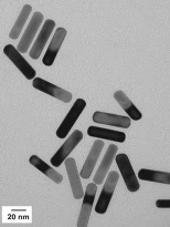 Photo / Sangeeta Bhatia Laboratory; MIT
MIT researchers developed these gold nanorods that absorb energy from near-infrared light and emit it as heat, destroying cancer cells