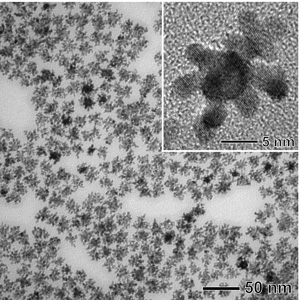 Younan Xia
A new catalyst based on dendritic platinum arms grown on palladium nanocrystals has been developed by WUSTL's Younan Xia and his collaborators. Tests have shown that the "bimetallic" catalyst outperforms commercial catalysts, which could enable a cost effective fuel cell technology and ultimately provide cleaner fuels worldwide.