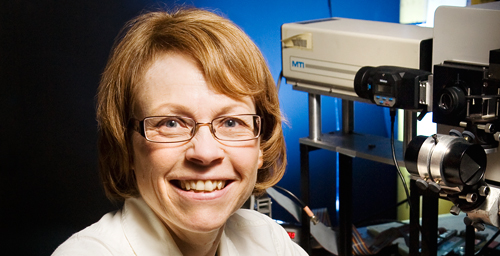 New findings from a research team led by University of Illinois chemist Deborah Leckband show that flexibility in the region near the binding sites of DC-SIGN plays a significant role in pathogen targeting and binding.

Photo by L. Brian Stauffer

