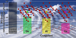 This bar graph shows the efficacy of removing wild-type bacteriophage from Rio Grande water using the all-aluminum coagulant (yellow), the gallium-aluminum coagulant (pink) and a germanium-aluminum coagulant (green). While the gallium-aluminum coagulant is most effective, the germanium-aluminum coagulant is less effective than the all-aluminum coagulant. The gallium makes the active ingredient for binding contaminants more stable and effective, while the germanium, introduced as another variable, was found to make the active ingredient less stable and less effective.
