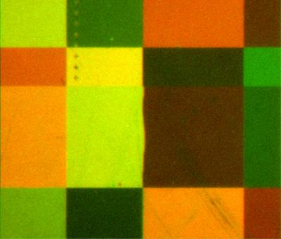 An image of a lipid membrane -- similar in structure to the membranes of all living cells -- draped over a terraced silicon chip one-quarter millimeter square. Brush-like molecules that mimic the structure of particular cell-surface proteins are incorporated into the membrane, and the pattern of light emitted by probes attached to these molecules (green) and the lipids (red) reveals the molecular orientation -- whether the brushes "stand up" or "lie down" at the membrane surface.

Credit: Courtesy of Raghuveer Parthasarathy