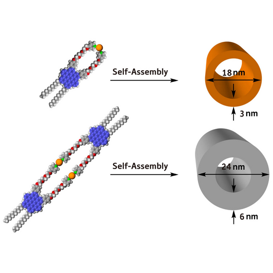 Figure 1: Two examples of nanotubular assemblies fabricated from single hexabenzocoronene amphiphile building blocks (blue/grey/red spheres) and platinum (Pt) metal ions (orange spheres). 
Credit: Riken