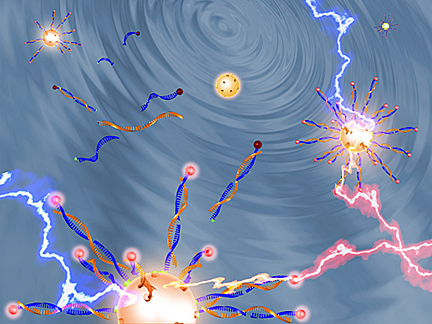 In this illustration by Yi Zhang, quantum dots are depicted as gold spheres that attract DNA strands linked to cancer risks. When the quantum dots are exposed to certain types of light, they transfer the energy to fluorescent molecules, shown as pink globes, that emit a glow. This enables researchers to detect and count the DNA strands linked to cancer. 