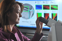Argonne scientist Elena Rozhkova examines brain cancer cells under a microscope. Rozhkova, along with researchers from the University of Chicago, has developed a way to attach a antibody to nanomaterial titanium dioxide and kill brain cancer cells.
