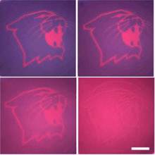 'Disappearing' Nanoparticle Ink: A new writing medium can be tweaked to erase itself after a pre-determined length of time. Rafal Klajn 