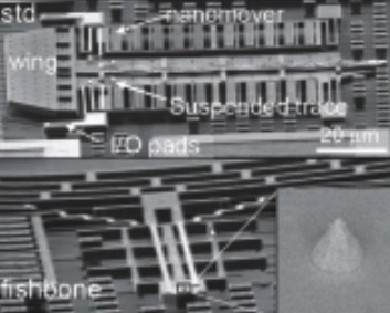 XSEM overview of IMECs standard and fishbone cantilever designs with suspended Pt trace and sharp tips.