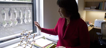 Kris Snibbe/Harvard Staff Photographer

Evelyn Hu, Gordon McKay Professor of Applied Physics and Electrical Engineering, shows a model of gallium arsenide. Hu has joined Harvard's School of Engineering and Applied Sciences after spending 25 years at the University of California, Santa Barbara.
