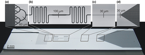 IBM scientists in Zurich have created a one-step point-of-care-diagnostic test, based on an innovative silicon chip that requires less sample volume, is significantly faster, portable, easy to use and can test for many diseases, including one of world's leading cause of death, cardiovascular disease.  Courtest IBM.