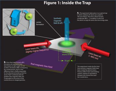 This is the first figure to accompany the Joint Quantum Institute press release about synthetic magnetism.

Credit: JQI
