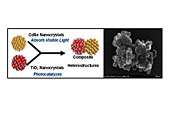 (Left panel) Schematic diagram of the new photocatalytic technology for converting CO2 into fuels. (Right panel) SEM image of a heterostructured
CdSe/Pt/TiO2 photocatalyst synthesized and tested by the NETL team (scale bar 100 nm).
