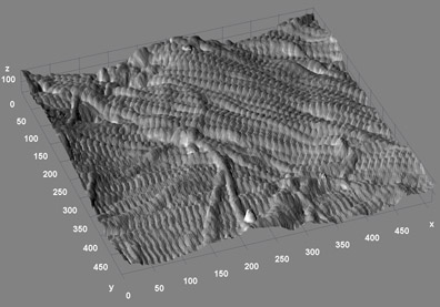 A three-dimensional rendering from the surface of a mouse bone. In this 3.5 x 3.5 micrometer image (100 nanometer height), the rich sample topography characteristic of bone is evident. Type I collagen fibrils are seen running in a bundle from left to right near the top. A second layer of fibrils appears to be running below, almost perpendicular to this bundle, near the bottom corner.