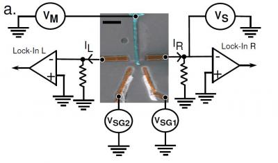 This is an SEM image of a typical Cooper pair splitter. The bar is 1 micrometer. A central superconducting electrode (blue) is connected to two quantum dots engineered in the same single wall carbon nanotube (in purple). Entangled electrons inside the superconductor can be coaxed to move in opposite directions in the nanotube, ending up at separate quantum dots, while remaining entangled.  Credit: L.G. Herrmann, F. Portier, P. Roche, A. Levy Yeyati, T. Kontos, and C. Strunk