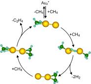 Au pairs: Whereas one methane molecule is not dehydrogenated by free gold-dimer cations, the cooperative interaction of two methane ligands initiates a catalytic formation of ethylene. The cycle is closed by the adsorption of a third methane molecule that cooperatively activates the release of ethylene (see scheme yellow Au, green C, blue H). This cycle is derived from ab initio calculations and gas-phase reaction kinetics measurements.