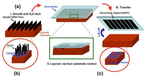 Forests of nanotubes grown via chemical vapor deposition are treated with hydrogen gas and water to loosen their bonds with a catalyst. They can then be transferred to another surface, just like a rubber stamp.