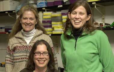 From left, Sarah Baxter, Cathy Murphy, and Edie Goldsmith
