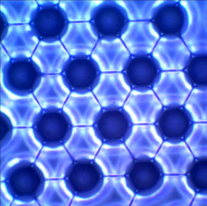 Fig. 1: Micrograph view through the glass substrate showing the formation of a liquid bridge network during the evaporation of solvent. Reproduced from Ref. 1  2009 The American Chemical Society