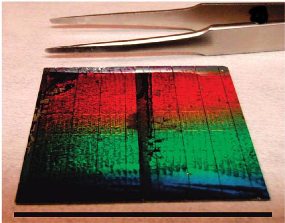 This photovoltaic cell is comprised of 36 individual arrays of silicon nanowires featuring radial p-n junctions. The color dispersion demonstrates the excellent periodicity over the entire substrate. Photo by Peidong Yang.