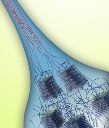 The new method involves pulling a thin thread of material (top) from a liquid solution (bottom), and in the process the individual polymer filaments, which start out as a tangled mass, become very highly aligned.  Illustration courtesy of Gang Chen