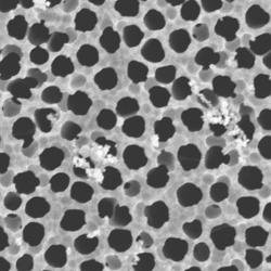 Atomic layer deposition is especially useful for coating complex nanoscale structures. This image is a scanning electron micrograph obtained from a zinc oxide-coated nanoporous alumina membrane.