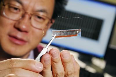 Georgia Tech professor Zhong Lin Wang holds an improved nanogenerator containing 700 rows of nanowire arrays. The generator was used to power nanometer-scale sensors. Credit: Photo: Gary Meek