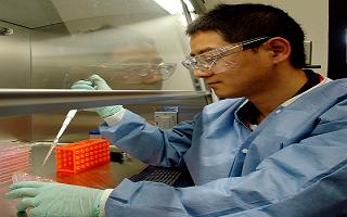 Los Alamos National Laboratory toxicologist Jun Gao works in his  
laboratory using a protective fume hood.  Credit: Los Alamos National Laboratory
