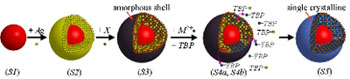 Schematic of hybrid core-shell growth process