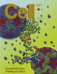 Artistic representation of a Cryo-EM 3-D reconstruction of aquareovirus