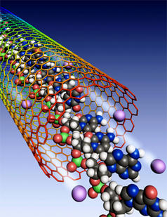 DNA threads through a carbon nanotube. Enlarged to this scale, the nanotube would extend about the length of a football field.