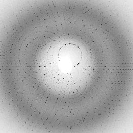 Caption: Photograph of the photosynthetic reaction taken with an 80-microsecond X-ray pulse. Photographer: Gergely Katona/University of Gothenburg.