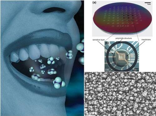 Exhaled air from diabetics contains slightly higher levels of acetone vapor than healthy persons. A new kind of sensor (a) can now selectively detect acetone even in the smallest concentrations; this is due to a layer of a unique crystal phase of tungsten oxide, which thanks to a special procedure becomes porous like a sponge.  (Credit: ETH Zurich)