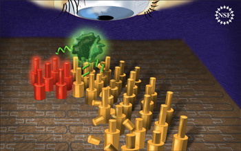 Researchers have created and observed a molecular robot capable of many steps, and of making decisions where to step and how long to stay. As the robot walks on the substrate, it changes each piece by cleaving off a part. If it touches a spot that has been cleaved already, it does not linger as long. The end of the track glows red and captures the robot, letting the researchers know when it has completed its walk. The robot glows green, allowing for the researchers to see it better. Credit: Zina Deretsky, National Science Foundation