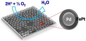 Less platinum, better efficiency
 The multimetallic nanoparticle created by Brown University chemists for fuel-cell reactions uses a palladium core and an iron-platinum shell. Credit: Sun Lab/Brown University 