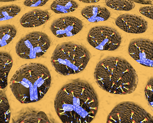 Small chemical ornaments (cones) slow the release of anti-cancer antibodies (blue) from this functionalized mesoporous silica (orange). Artist's rendering; not to scale.