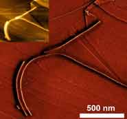 Cylindrical nanostructures on a carbon surface