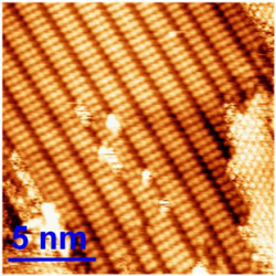 This image shows the polymers that were created at a resolution of 5 nanometers (the average strand of human hair is 80,000 nanometers wide). Credit: Dept. of Chemistry, McGill Univ.