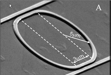 A scanning electron microscope (SEM) image of a SOI microring resonator of 5m radius