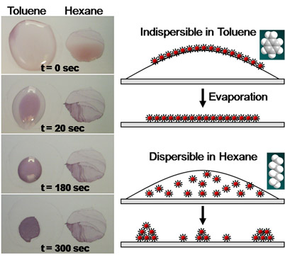 Researchers at Rensselaer have developed a new, ultra-simple method for making layers of gold that measure only billionths of a meter thick. As seen in the research image, drops of gold-infused toluene applied to a surface evaporate within a few minutes and leave behind a uniform layer of nanoscale gold. The process requires no sophisticated equipment, works on nearly any surface, takes only 10 minutes, and could have important implications for nanoelectronics and semiconductor manufacturing. 