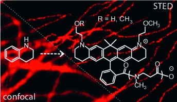 Far-field optical nanoscopy methods, especially STED (stimulated emission depletion), pose very strict and, at times, contradictory requirements on the utilized fluorescent markers. Photostable fluorescent dyes that absorb in the red optical region are indispensable as labels for various micro- and nanoscopic studies (e.g., with commercially available STED microscopes). Despite many attempts to design novel and improved red-emitting dyes, the number of compounds that perform satisfactorily in fluorescence-based microscopy is still limited. 