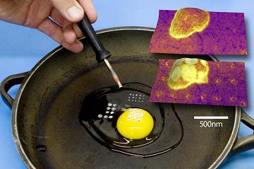 Heat interrogation of polymers: from nanoscale to macroscale. 
Ztherm is an atomic force microscope-based technique which measures temperature-dependent mechanical properties of the sample with 10nm spatial resolution, in addition to mapping surface topography. Ztherm integrates a nanoscale heat source with a new detection method that lowers the probed volume of material to the zepto-liter level (10-24 liters). The inset figures show nanoscale measurements made with Ztherm of a phase transition in a SEBS copolymer before (top) and after (bottom) Ztherm measurements. Scale the experiment up one million times (soldering iron + egg will do the trick) and the human eye can detect a polymer phase transition (denaturation of bio-polymer albumen which is the main component of egg white) changes in the material after heating. 