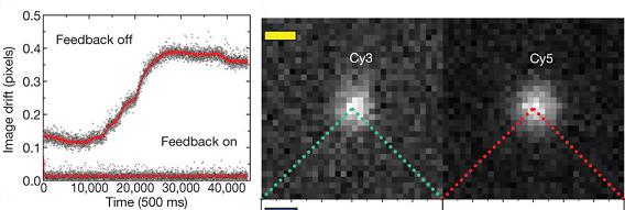 Graph on left shows that with the active feedback system off there is a resolution drift of about 0.3 pixels or 19 nanometers, but with the feedback system on resolution is maintained at better than 0.01 pixels, or about 0.64 nanometers. Image on right shows individual Cyanine (Cy) fluorescent dye molecules  Cy3 and Cy5 - used to label 20 base pairs of double-stranded DNA.